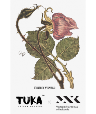 NAPRASOWANKA  Kolekcja MNK Stanisław Wyspiański RÓŻA