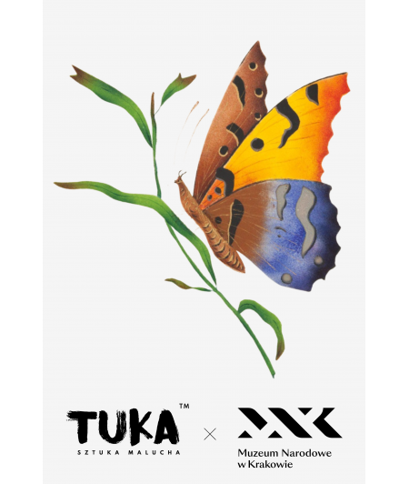 NAPRASOWANKA  Kolekcja MNK Motyl